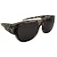 Gray Tortoise / Smoke Lens With Case