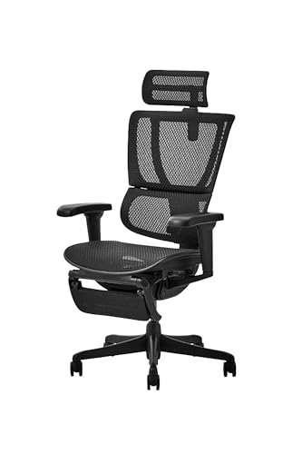 エルゴヒューマン2(Ergohuman2) オフィスチェア ヘッドレスト付き オットマン内蔵 昇降式 ジャケットハンガー装備 エラストリックメッシュ PUキャスター フィット2ライト フレーム:ブラック メッシュ:ブラック FIT2Lite-BF-BK