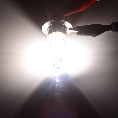 DZG H6M P15d-25-1 35W Halogen Headlight Bulbs Replacement Kit 5000K Warm White Lamp 12V Auto Motorcycle/Scooter Bulb, 2 Pieces - Image 2