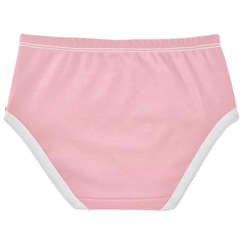 Joisal Toddler Girls Underwear 2t Cotton Panties Little Girl Flower Briefs Underpants Blush Pink Shell Gradient2