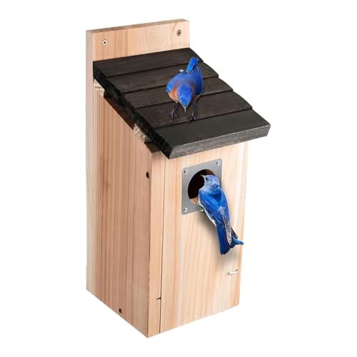 Nichoir oiseaux extérieur suspendu en bois naturel pour petit nid de colibri et jardin