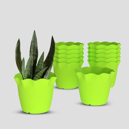 Image of YUCCABE ITALIA SHERA 8 Inch Plastic Flower Pot 12 Piece Set of Unbreakable Round Shape Planter for Home Garden Seedling, Indoor and Outdoor (Green)
