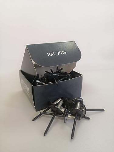 Rivetti verniciati RAL 7016 / Antracit