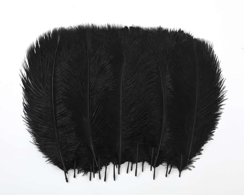HOLLOSPORT 60Pcs Black Ostrich Feathers Bulk 8-10 Inches for Crafts and Centerpieces for Wedding Birthday Gatsby Party Decorative Plumes for Vase & Table & Christmas Tree (20-25cm Black)