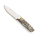 Muela Cuchillo Kodiak KODIAK-10CA hoja de acero MoVa de 10 cm y empuñadura de cuerno de carnero y alpaca para Caza, Pesca, Supervivencia y Bushcraft Realizado en Ciudad Real + Portabotellas de regalo