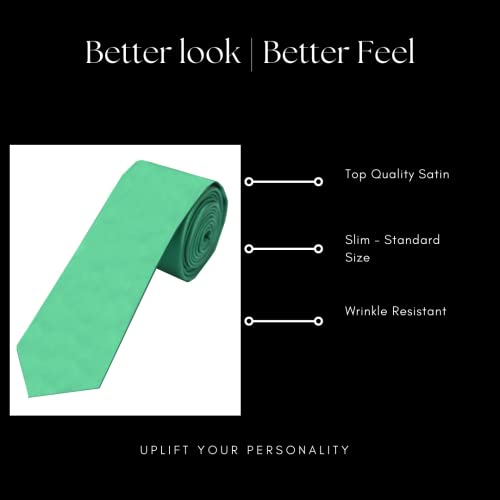 Image of TIE STUDIO Mens Formal Neckties| Standard Size | Premium fabric | Superior finishing| Packaging - Folder | Set of 1