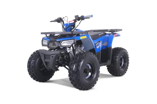 Tao Motor MUDHAWK 10 Youth ATV, Blue, 4-Wheel All-Terrain Vehicle Gas Powered Automatic