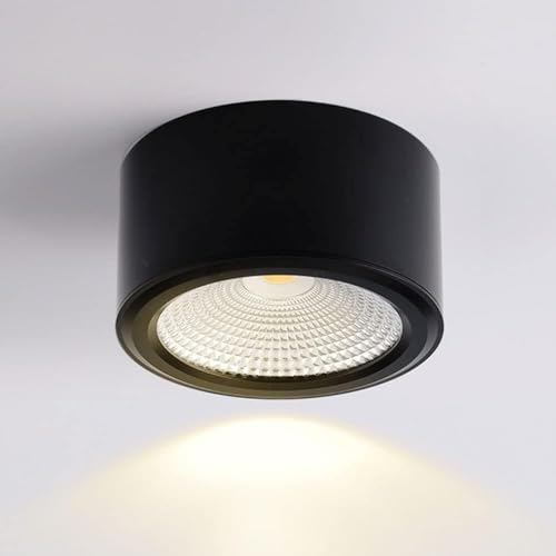 Plafonnier noir cylindrique luminaire LED 5W intérieur pour salon et couloir moderne