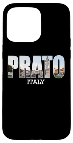 �v���[�g�� �C�^���A �s �v���[�g ���B���e�[�W �C�^���A �X�}�z�P�[�X iPhone 15 Pro Max �p