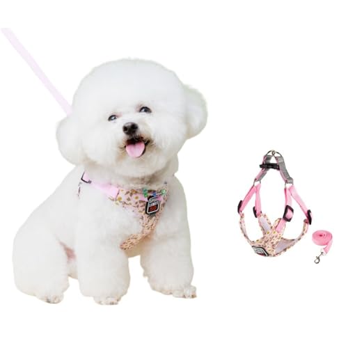 YYKSYDPT ^E^ppn[lX qpn[lXƃ[VZbg \tg bV Ԕ ̎UɍœK (sN, L)