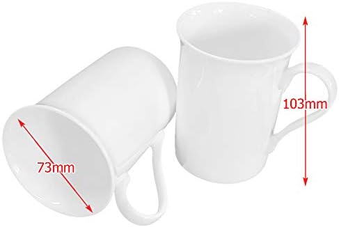 Set of 6 Fine Bone China Mugs Gift Boxed Glossy White Cups