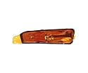 EDA PREMIUM auto Eckleuchte, Blinker, Licht Rechts Gelb 4R3Z13200AA passend für FORD MUSTANG 2005-2009 USA, Gelb