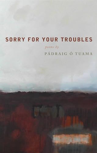 Sorry for Your Troubles view 2