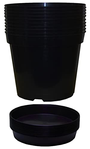 Muddy Hands Pack of 10 Black Plastic Plant Pots + Saucers - Outdoor Garden Round Nursery Herb Flower Planters Base Water Drip Trays (3 Litre)