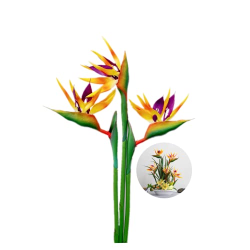 Rikyo Strelitzia Lot de 3 Grands Oiseaux de Paradis 73,7 cm Fleurs permanentes Imitation Plantes artificielles Tropicales en Caoutchouc Souple PU, pour la...
