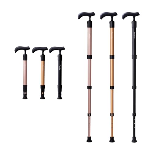 t@~J (FAMICA) ^b` Lk XebL (XlbN/ubN) SG}[NF   (߉\/) jp p pi ܂肽 Lk