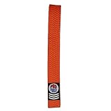 Martial Arts Karate Taekwondo judo Belt (orange, 2)