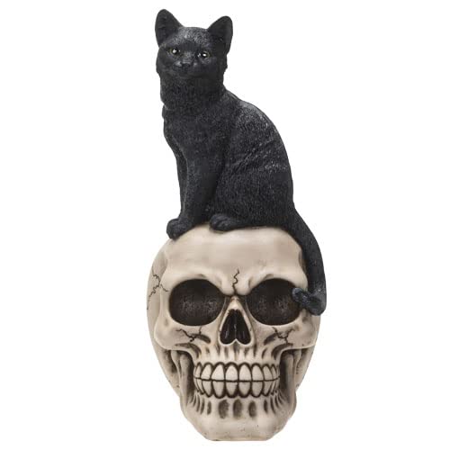 Vinny Cat on skull/立体アート Amazon.com: Pacific Giftware Black Cat on Skull Figurine, 9.57