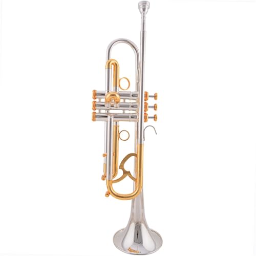 Trumpets for Beginner Trumpet B Flat Gold And Silver Double Color Orchestra Performance Model Advanced Model