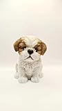 Laure TERRIER Statue Chiot Shih Tzu en résine, Hauteur 16 centimètres
