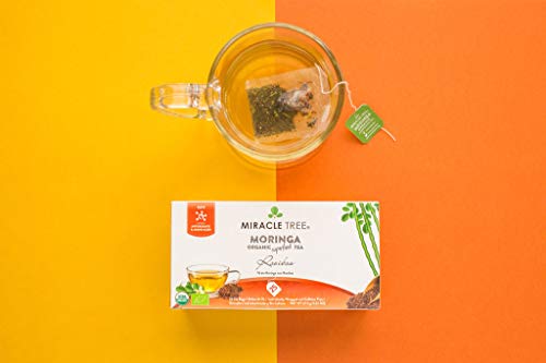 Miracle Tree - Organic Moringa Superfood Tea, 2 Pack Bundle, 2X25 Individually Sealed Tea Bags (Rooibos, Lemon & Chamomile) #TOP3