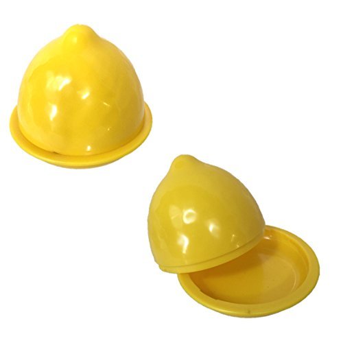 GOURMET CLUB LEMON CONTAINER