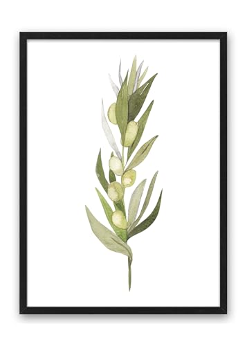 Kunstdruck Din A4 ungerahmt - Aquarell Olive Olivenzweig Blatt Blätter Zweig Ast Natur Grün Druck Poster Bild