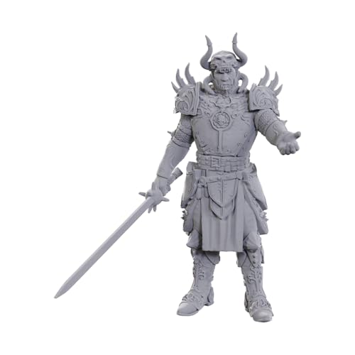 Wizkids - D&D Nolzurs Marvelous Miniatures: Special Edition Baldurs Gate 3 - Sarevok Anchev & Raphael