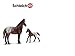 Produktbild 2in1-SET Schleich | Appaloosa Stute mit Fohlen | 13731 | 13862