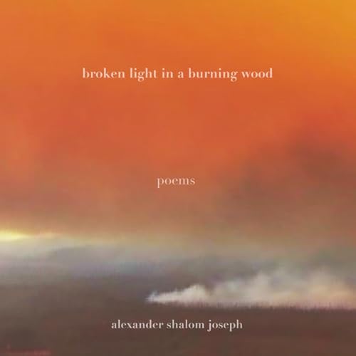 Broken Light in a Burning Wood by Alexander Shalom Joseph episode artwork