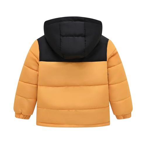 sfdgfhyf Kids Boys Girls Color Block Winter Coat Hooded Puffer Jacket Waterproo𝐟 Thicken Warm Padded Down Coat2