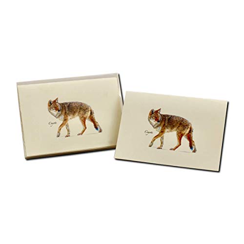 Image of Earth Sky + Water - Coyote Notecard Set - 8 Blank Cards with Envelopes