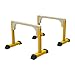 Parallette, Barre parallele per il fitness domestico, Dip Station Funzionale Heavy Duty, Dip bar Stazione Stabilizzatore Parallette, Push Up Stand, Ginnastica parallele, Calisthenics