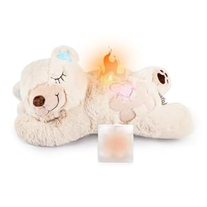 All for Paws Plüschbär Wärmekissen Hundespielzeug