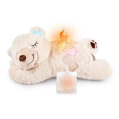 ALL FOR PAWS AFP Little Buddy Hundespielzeug, Bärenmotiv