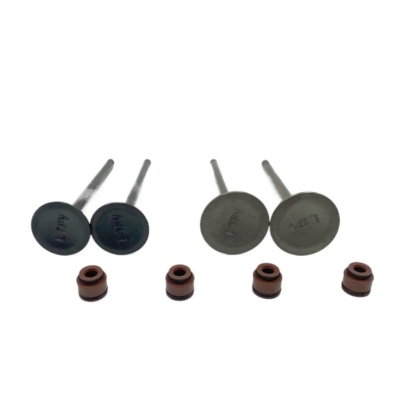 Aspirazione del motore motociclo per guarnizione dello stelo per Suzuki GW250 GW 250cc GSX250 250 DL250 DR300 per pezzi di ricambio Componenti per motociclette