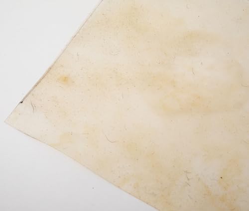 Natural Skin for Turkish Kanun Qanun Leather Head Replacement Camel skin 45 * 12cm