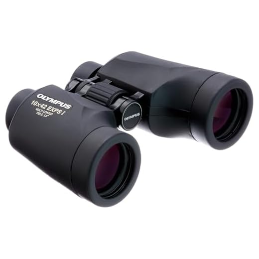Olympus 10X42 EXPS I - Prismático, negro