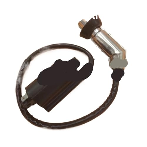 Bobina de encendido para ATV 300 CC y motores XV250, repuesto I01053 de quad