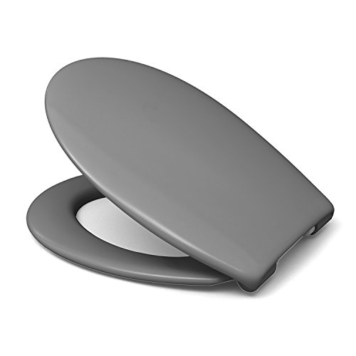 Preisvergleich Produktbild Sanifri 470011130 WC-Sitz Nera, grau