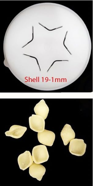 PASTADISC - Shell Pasta Noodles Shape Disc, Fit For Philips Automatic Soup Shell Pasta Maker, Compatible with Philips Pasta Maker Attachment, Kitchen Appliance (Shell 19-1mm)
