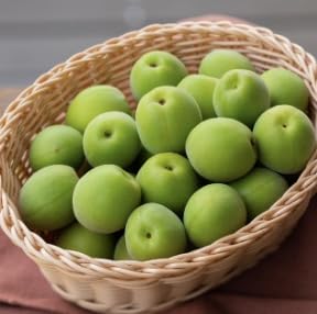 �y��s�\��z �Y�n���� �N�[���ւł��͂� �I�B�~ �~ A���i A���i�i��ʁjB���i�i�󂠂�j1kg ~ 10kg �~ �~�� �a�̎R���Y �ω��R�t���[�c�K�[�f�� �~�� �~�V���b�v �~�W���[�X �ƒ�p �Ɩ��p (1kg, A���i)