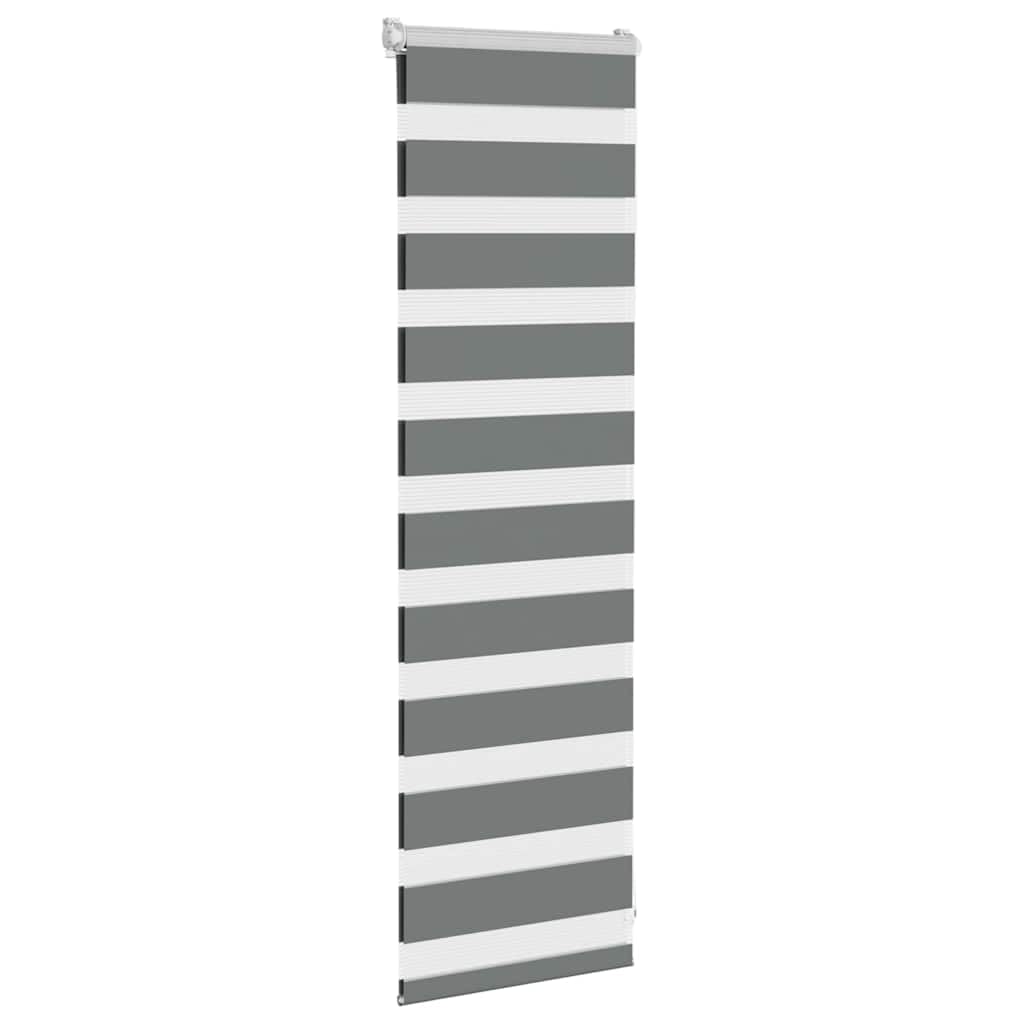Doppelrollo Dunkelgrau 45x100 cm Polyester mit Klemmbügeln und Schrauben, blickdichtes Plissee Rollo für Fenster, Innenjalousie mit Verdunkelung, Sichtschutz, Sonnenschutz