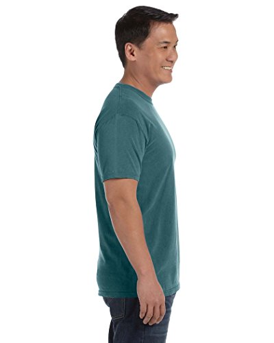 Image of Comfort Colors Adult Short Sleeve Tee, Style G1717