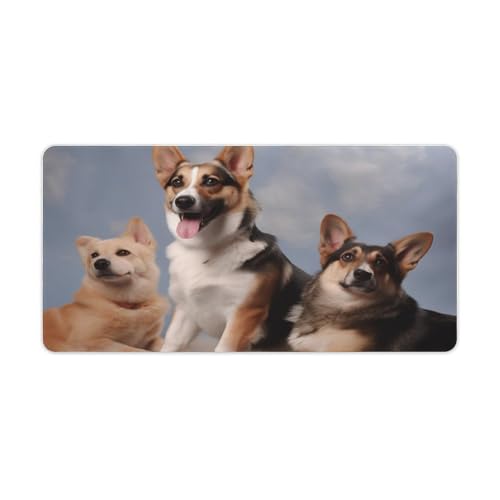 Alfombrilla para mouse RLDOBOFE 60 x 30 cm antideslizante