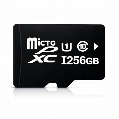 Image of 256GB High-Capacity TF Memory Card | Micro Memory Card for Smartphone, Tablet, Action Camera, Dash Cam & CCTV | Storage Expansion