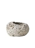 Serene Spaces Living Small Earthly Pumice Bowl Vase, Lava Rock Vase for Flowers, Plants, Candle Holder - Living Rooms, Kitchens, Bedrooms, Office, Weddings - 5