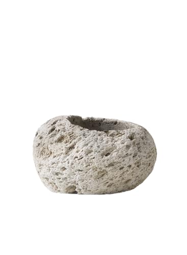 Serene Spaces Living Small Earthly Pumice Bowl Vase, Lava Rock Vase for Flowers, Plants, Candle Holder - Living Rooms, Kitchens, Bedrooms, Office, Weddings - 5