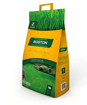 CESPED BOSTON 5 KG.