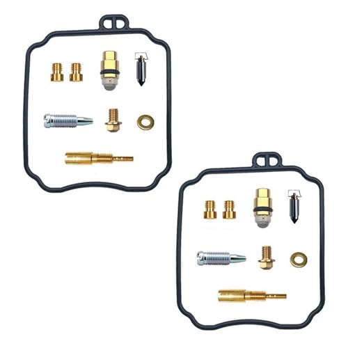 Kit réparation carburateur HYOSUNG GV125 GT125 avec membrane et flotteur complet